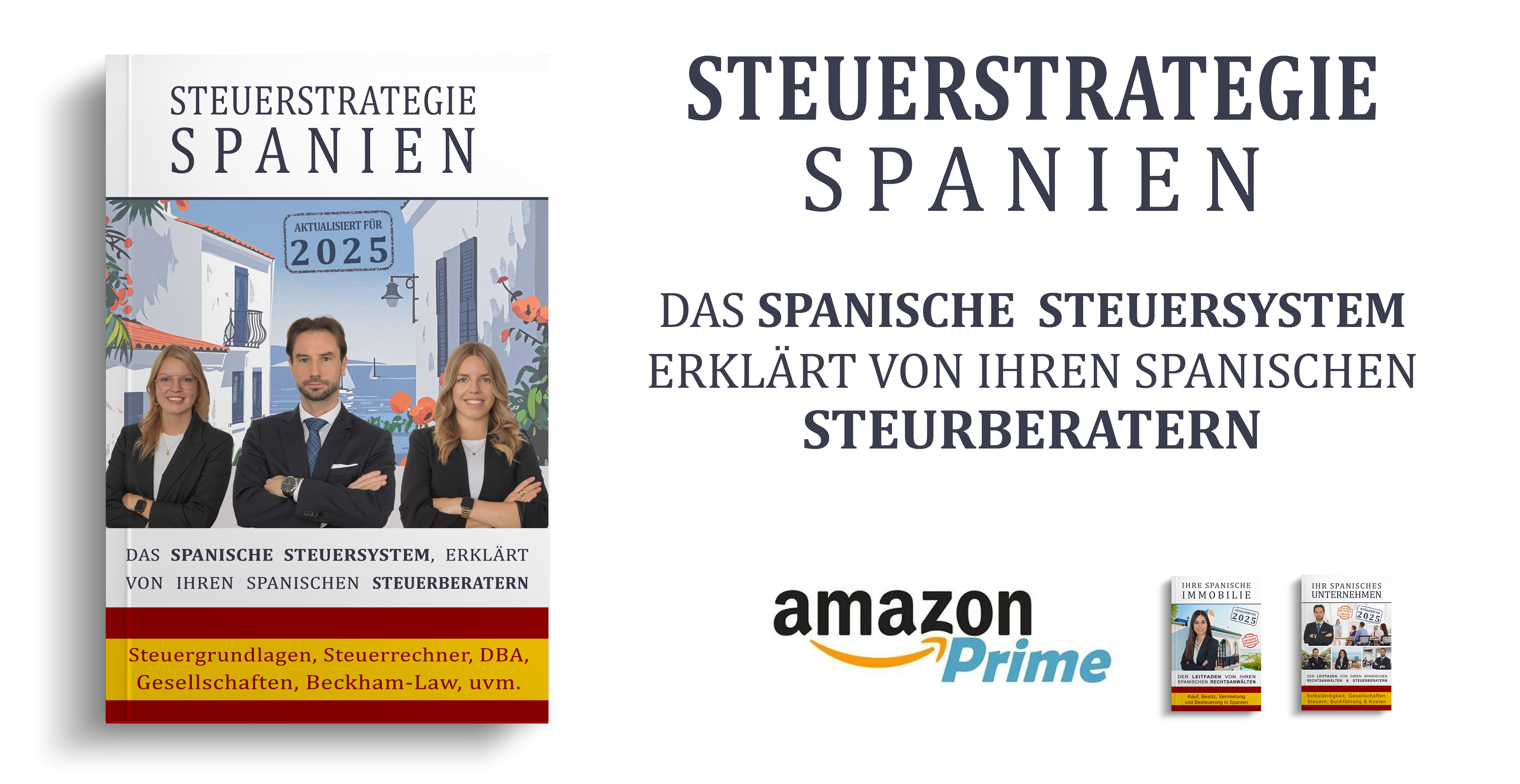 banner-libro-steuern-de